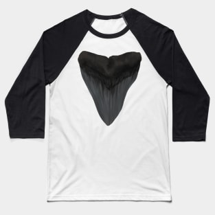 Megalodon Shark Tooth Baseball T-Shirt